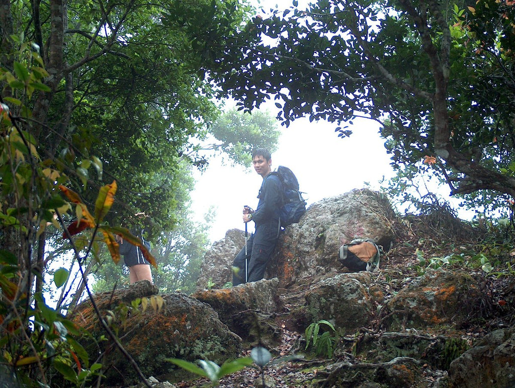 Gunung Bunga Buah - Hiking Up a Cool Mountain